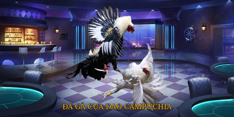 Đá gà cựa dao Campuchia