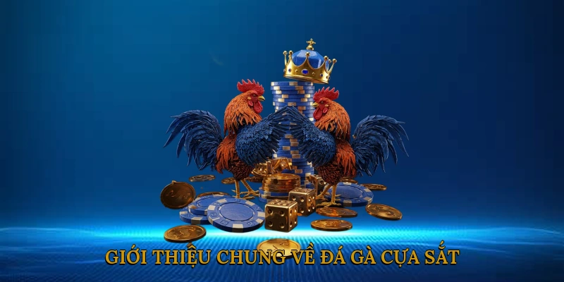 Giới Thiệu Chung Về Đá Gà Cựa Sắt