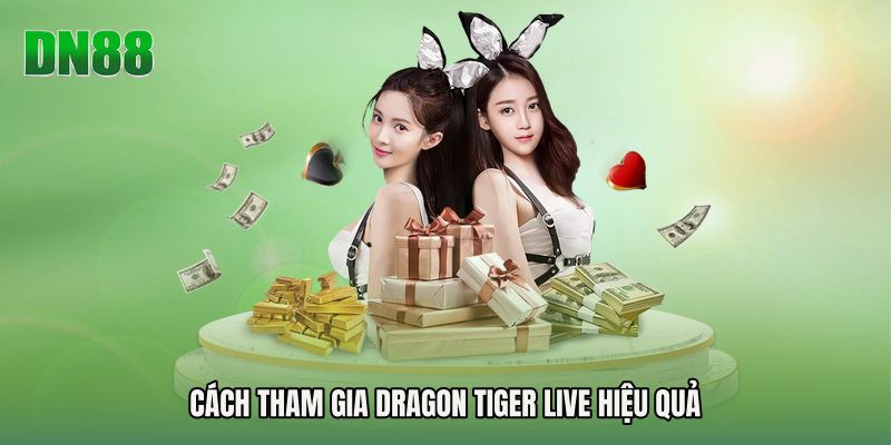 Cách tham gia Dragon Tiger Live hiệu quả